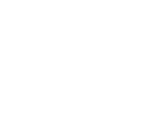 leonshaydulin.wfolio.pro